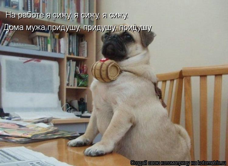 Котоматрица: На работе я сижу, я сижу, я сижу. Дома мужа придушу, придушу, придушу
