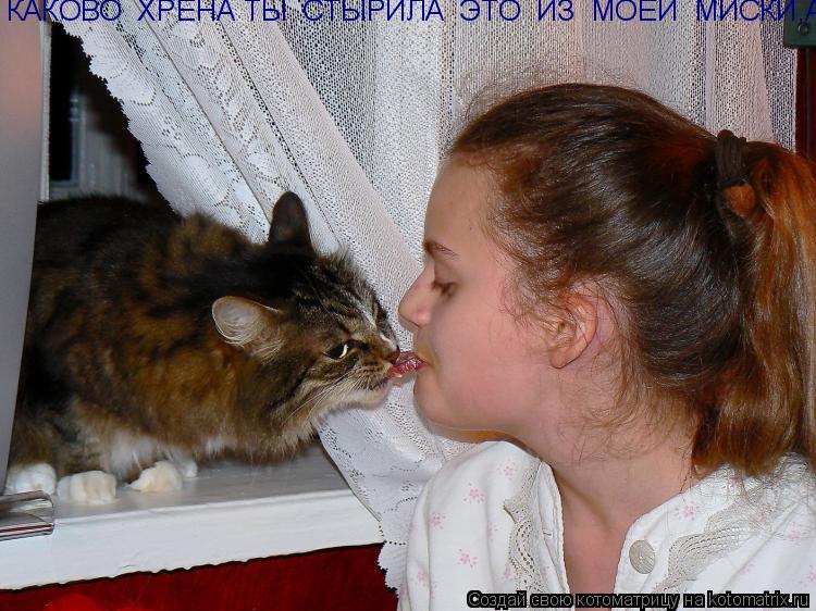 Котоматрица: КАКОВО  ХРЕНА ТЫ  СТЫРИЛА  ЭТО  ИЗ  МОЕЙ  МИСКИ,А!!