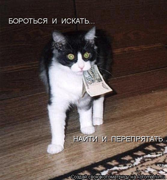 БОРОТЬСЯ И ИСКАТЬ... НАЙТИ И ПЕРЕПРЯТАТЬ....... Котоматрица: БОРОТЬСЯ И ИСКАТЬ... НАЙТИ И ПЕРЕПРЯТАТЬ....