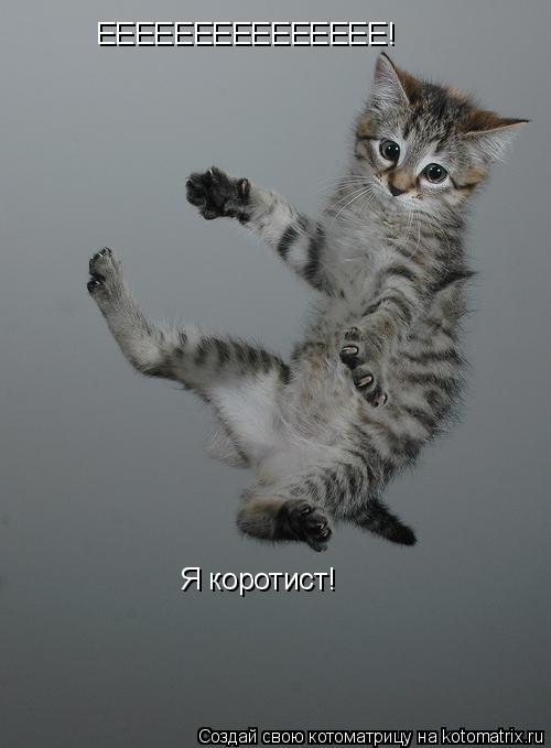 ЕЕЕЕЕЕЕЕЕЕЕЕЕЕЕ! Я коротист!... Котоматрица: ЕЕЕЕЕЕЕЕЕЕЕЕЕЕЕ! Я коротист!
