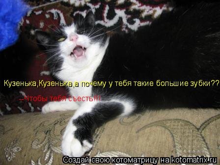 Кузенька,Кузенька,а почему у тебя такие большие зубки??? Кузенька,Кузенька,а почему у тебя такие боль... Котоматрица: Кузенька,Кузенька,а почему у тебя такие большие зубки??? Кузенька,Кузенька,а почему у тебя такие большие зубки??? --Чтобы тебя съесть!!!