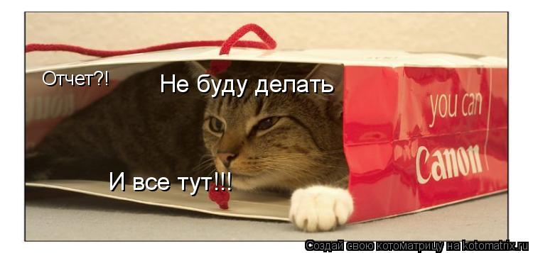 Котоматрица: Отчет?! Не буду делать И все тут!!!