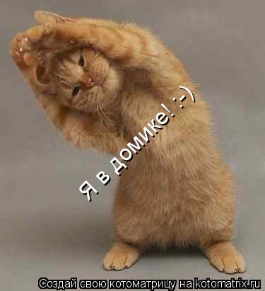 Котоматрица: Я в домике! :-)