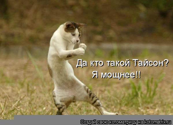 Котоматрица: Да кто такой Тайсон? Я мощнее!!