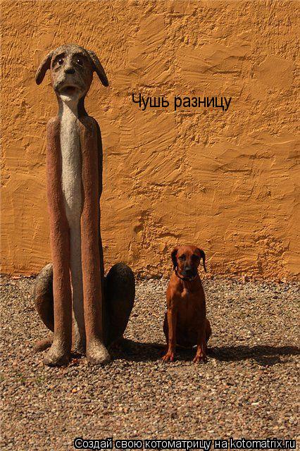 Котоматрица: Чушь разницу