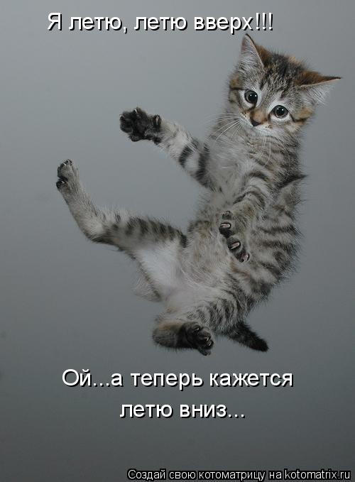 Я летю, летю вверх!!! Ой...а теперь кажется летю вниз...... Котоматрица: Я летю, летю вверх!!! Ой...а теперь кажется летю вниз...