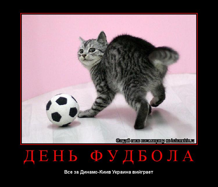 Котоматрица: Д Е Н Ь   Ф У Д Б О Л А 