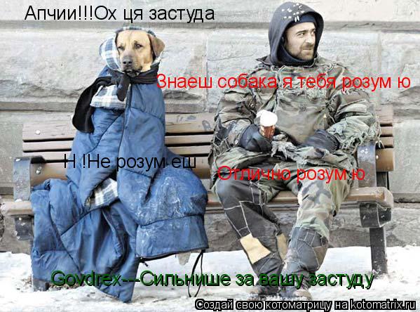 Котоматрица: Апчии!!!Ох ця застуда Знаеш собака я тебя розумію Ні!Не розуміеш Отлично розумію Govdrex---Сильнише за вашу застуду
