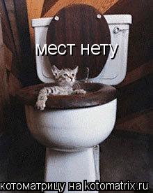 мест нету... Котоматрица: мест нету
