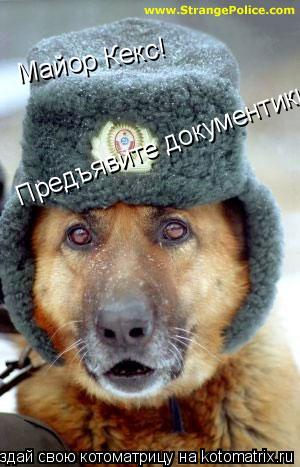 Майор Кекс! Предъявите документики!!!!!... Котоматрица: Майор Кекс! Предъявите документики!!!!!