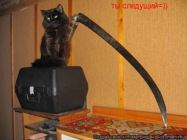 Котоматрица: ты следущий=))