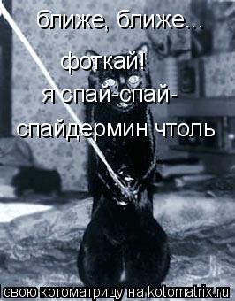 Котоматрица: ближе, ближе... фоткай!  я спай-спай- спайдермин чтоль