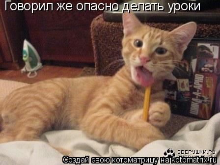 Котоматрица: Говорил же опасно делать уроки