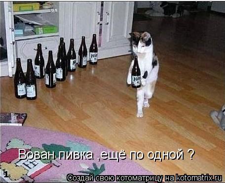 Вован пивка ,ещё по одной ?... Котоматрица: Вован пивка ,ещё по одной ?