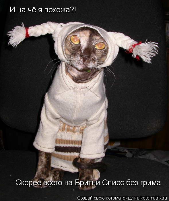 И на чё я похожа?! Скорее всего на Бритни Спирс без грима... Котоматрица: И на чё я похожа?! Скорее всего на Бритни Спирс без грима