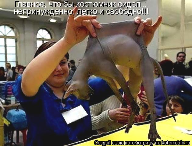 Котоматрица: Главное, что бы костюмчик сидел... непринужденно, легко и свободно!!!