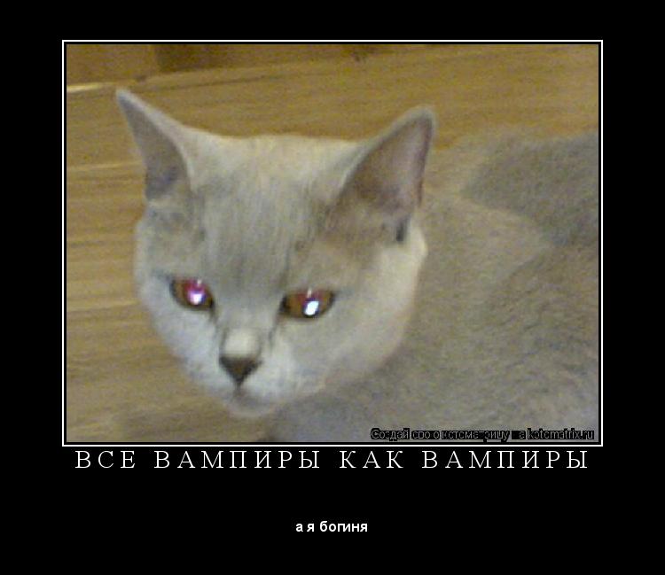 Котоматрица: В С Е   В А М П И Р Ы   К А К   В А М П И Р Ы 