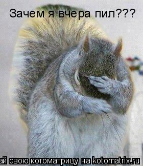 Котоматрица: Зачем я вчера пил???