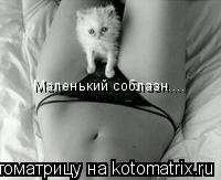 Котоматрица: Маленький соблазн....