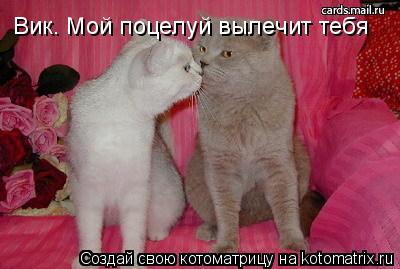 Вик. Мой поцелуй вылечит тебя... Котоматрица: Вик. Мой поцелуй вылечит тебя