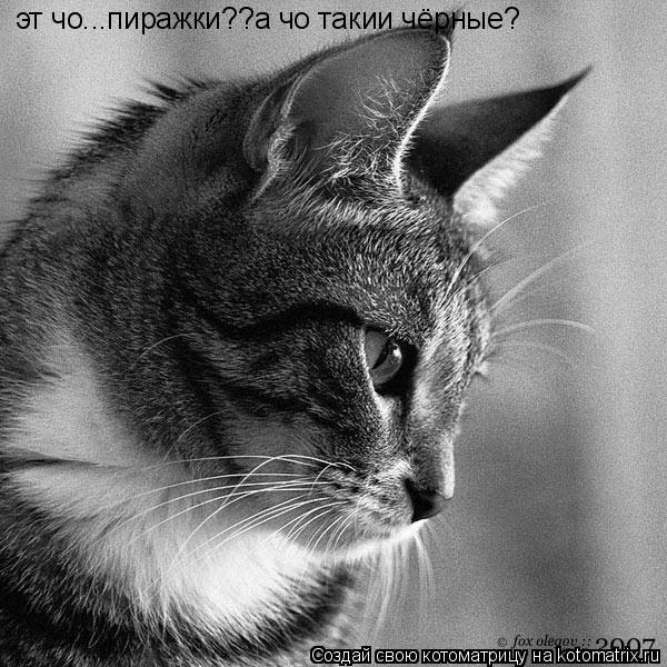 эт чо...пиражки??а чо такии чёрные?... Котоматрица: эт чо...пиражки??а чо такии чёрные?