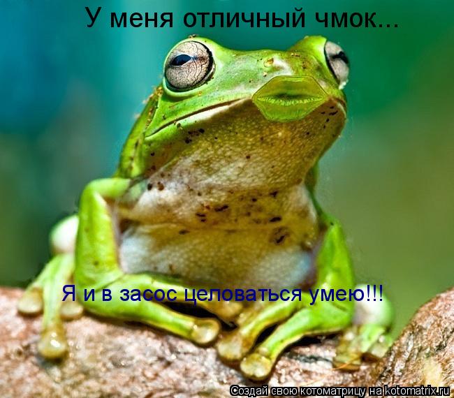 У меня отличный чмок... Я и в засос целоваться умею!!!... Котоматрица: У меня отличный чмок... Я и в засос целоваться умею!!!