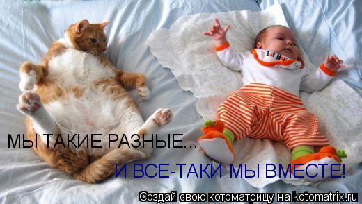 Котоматрица: МЫ ТАКИЕ РАЗНЫЕ... И ВСЕ-ТАКИ МЫ ВМЕСТЕ!
