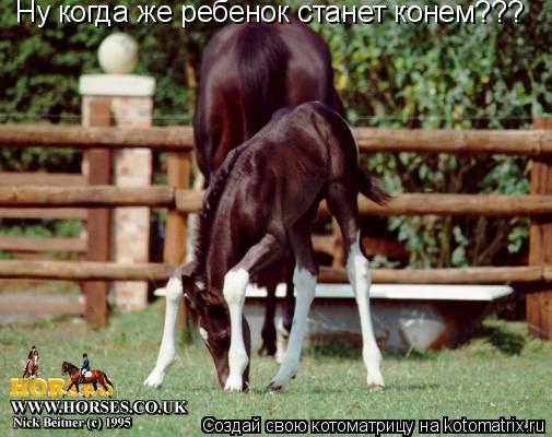 Котоматрица: Ну когда же ребенок станет конем???