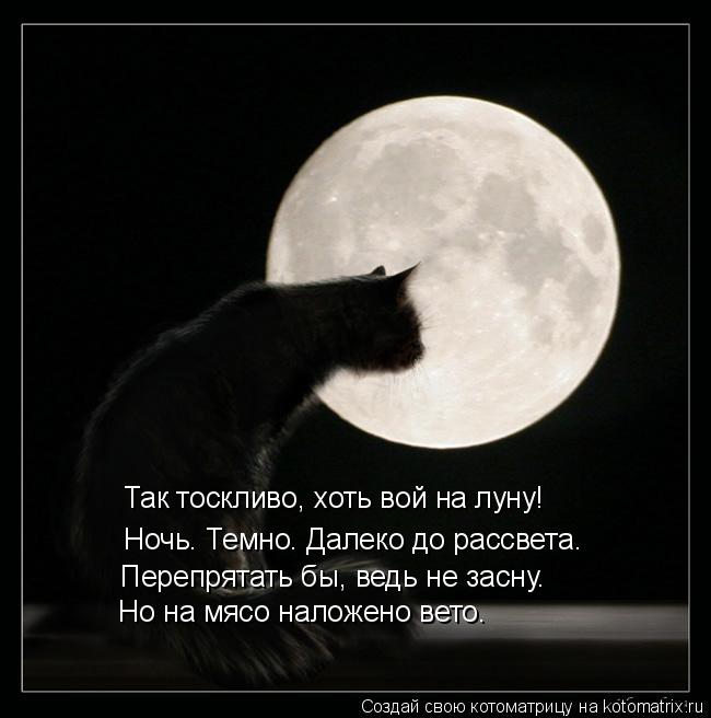 Котоматрица: Так тоскливо, хоть вой на луну!  Ночь. Темно. Далеко до рассвета.  Перепрятать бы, ведь не засну…  Но на мясо наложено вето.