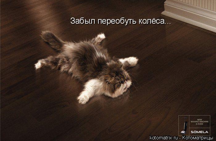 Котоматрица: Забыл переобуть колёса...