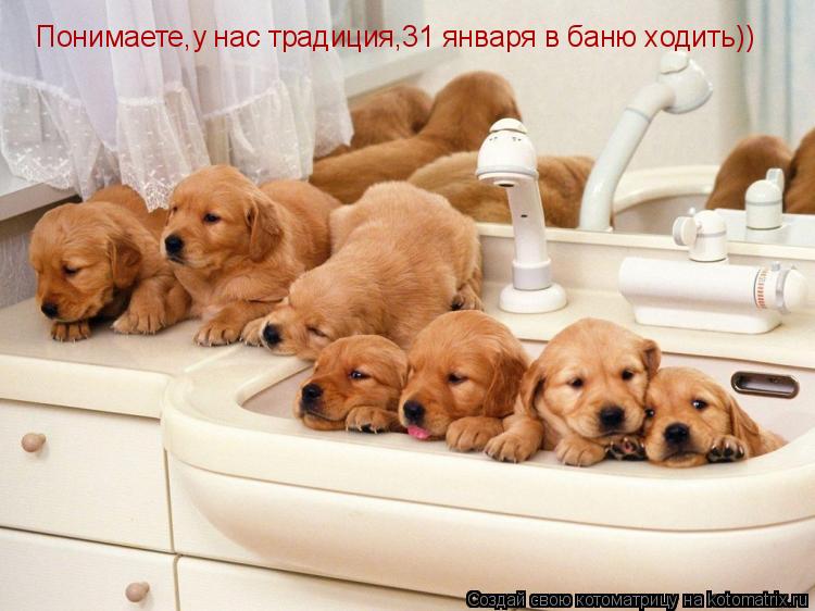 Котоматрица: Понимаете,у нас традиция,31 января в баню ходить))