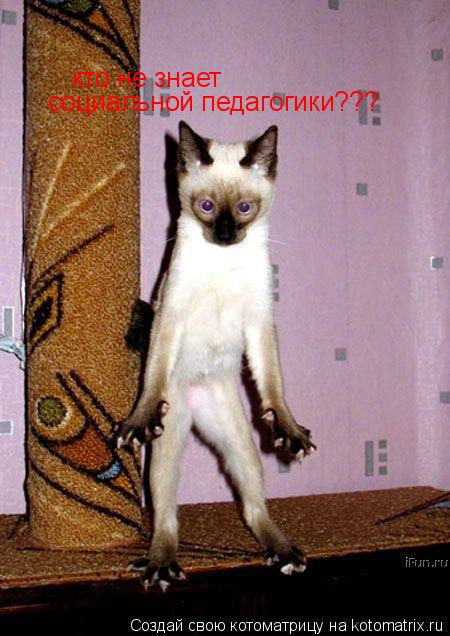 кто не знает социальной педагогики??? кто не знает социальной педагогики???... Котоматрица: кто не знает социальной педагогики??? кто не знает социальной педагогики???