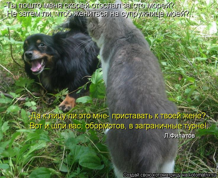-Ты пошто меня скорей отослал за сто морей? Не затем ли, чтоб жениться на супружнице моей?.. -Да к ли... Котоматрица: -Ты пошто меня скорей отослал за сто морей? Не затем ли, чтоб жениться на супружнице моей?.. -Да к лицу ли это мне- приставать к твоей жене?.. Вот