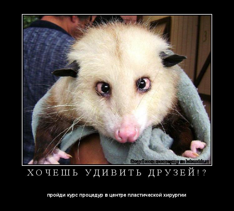 Х О Ч Е Ш Ь У Д И В И Т Ь Д Р У З Е Й ! ? ... Котоматрица: Х О Ч Е Ш Ь У Д И В И Т Ь Д Р У З Е Й ! ?