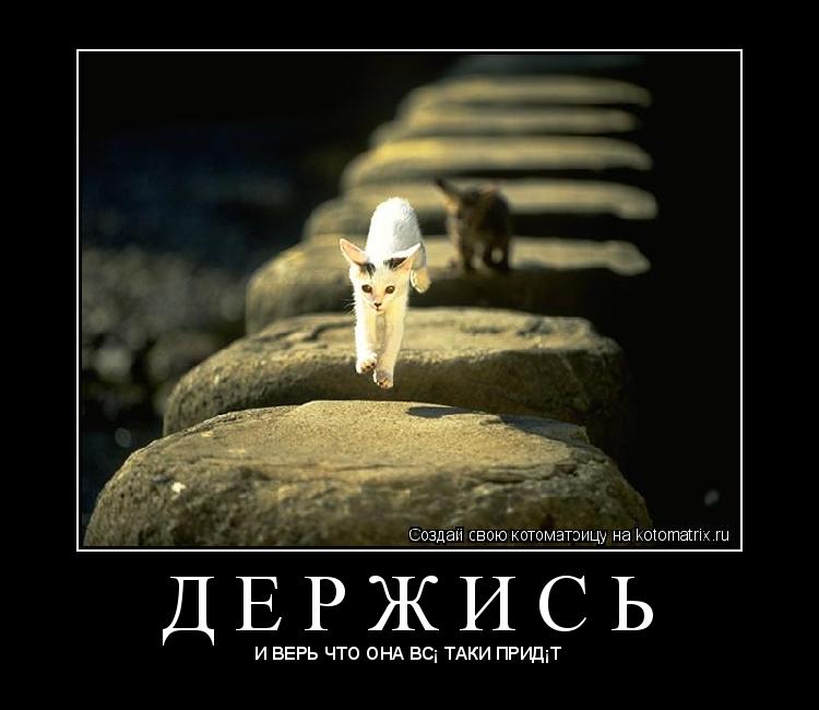 Котоматрица: Д Е Р Ж И С Ь 