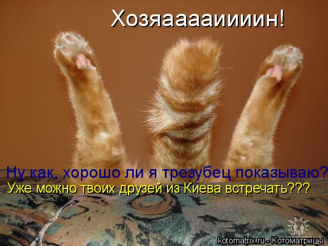 Котоматрица: Ну как, хорошо ли я трезубец показываю? Уже можно твоих друзей из Киева встречать??? Хозяааааиииин!