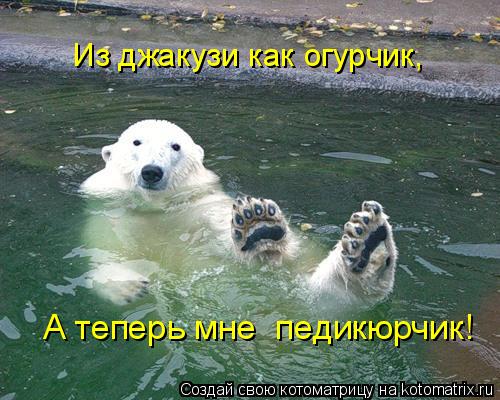 Котоматрица: Из джакузи как огурчик, А теперь мне  педикюрчик!