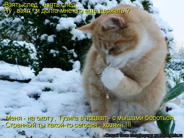 -Взять след , взять след ... -Ну , взял ! и долго мне его ещё держать ? - Меня - на охоту , Тузика в ... Котоматрица: -Взять след , взять след ... -Ну , взял ! и долго мне его ещё держать ? - Меня - на охоту , Тузика в подвал - с мышами бороться . - Странный ты какой-