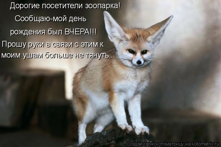 Котоматрица: Дорогие посетители зоопарка! Сообщаю-мой день  рождения был ВЧЕРА!!! Прошу руки в связи с этим к моим ушам больше не тянуть...