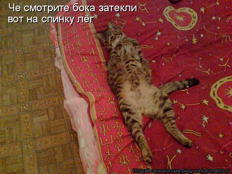 Котоматрица: Че смотрите бока затекли  вот на спинку лёг