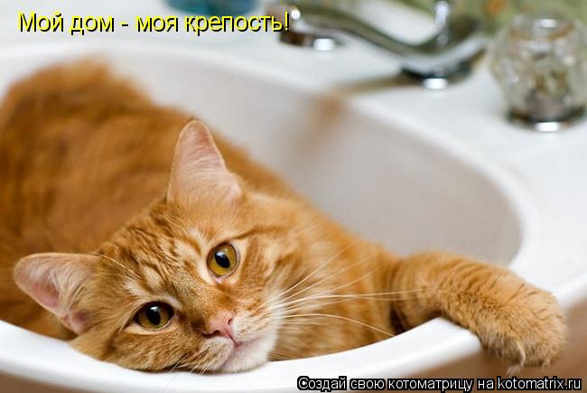 Мой дом - моя крепость!... Котоматрица: Мой дом - моя крепость!