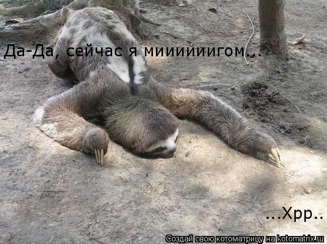 Котоматрица: Да-Да, сейчас я миииииигом... ...Хрр..