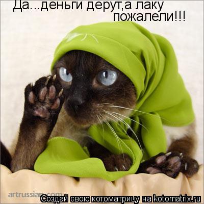 Да...деньги дерут,а лаку пожалели!!!... Котоматрица: Да...деньги дерут,а лаку пожалели!!!