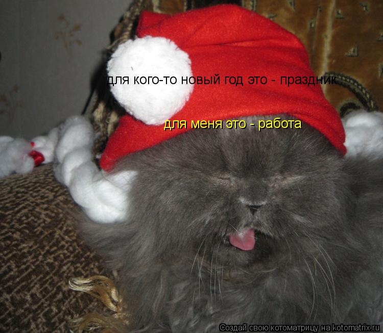 Котоматрица: для кого-то новый год это - праздник для меня это - работа