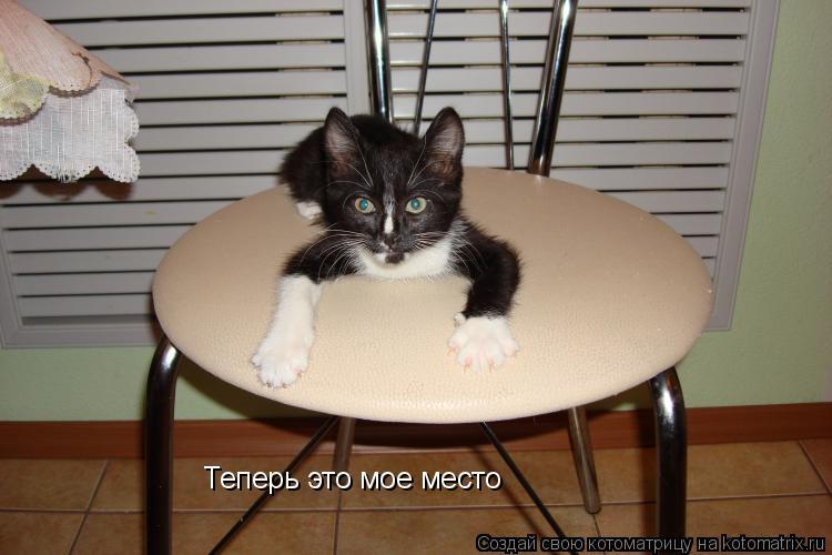 Котоматрица: Теперь это мое место