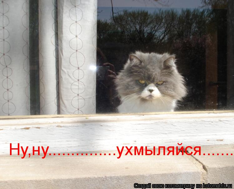 Котоматрица: Ну,ну...............ухмыляйся...........