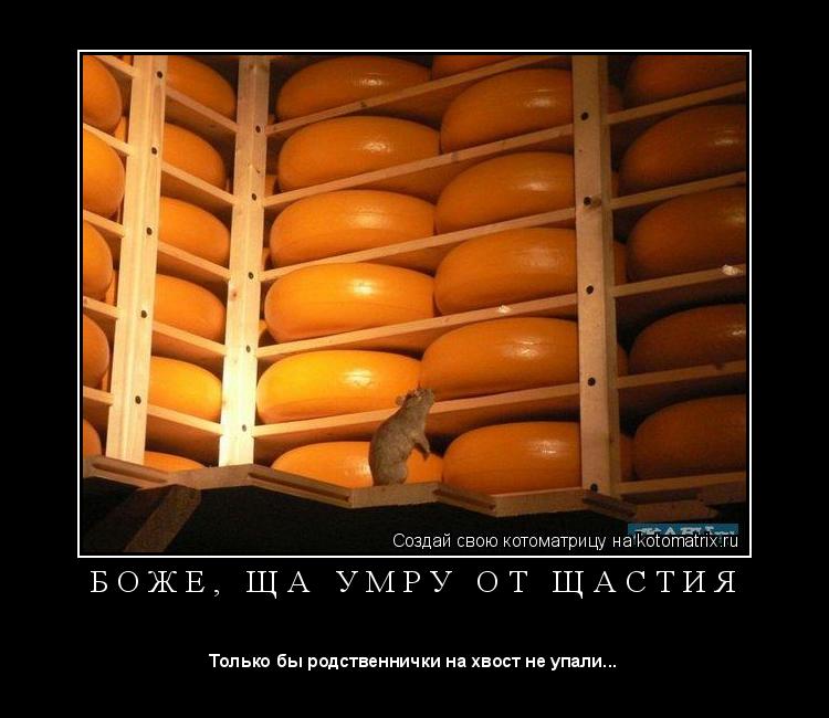 Котоматрица: Б О Ж Е ,   Щ А   У М Р У   О Т   Щ А С Т И Я 