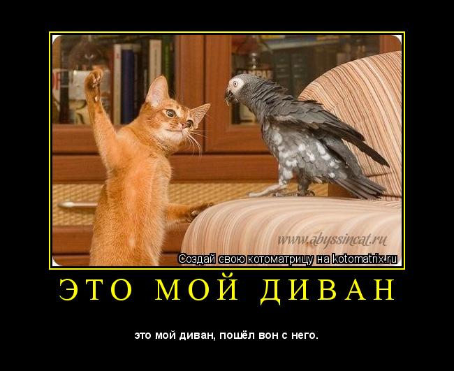 Котоматрица: Э Т О   М О Й   Д И В А Н 