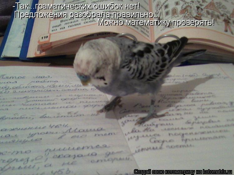 Котоматрица: -Так...граматических ошибок нет!  Предложения разобрала правильно... Можно математику проверять!