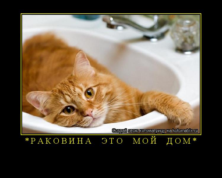 * Р А К О В И Н А Э Т О М О Й Д О М * ... Котоматрица: * Р А К О В И Н А Э Т О М О Й Д О М *